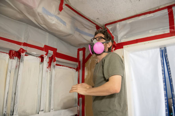 Best Black Mold Removal  in Gaylord, MI