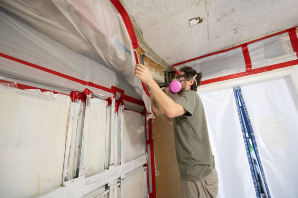 Best Industrial Mold Remediation  in Gaylord, MI