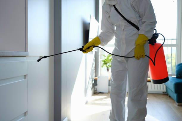 Best Biohazard Mold Removal  in Gaylord, MI