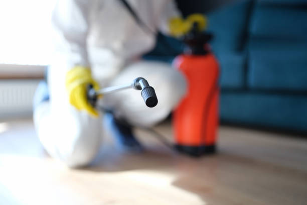 Best Comprehensive Air Testing for Mold Contaminants  in Gaylord, MI