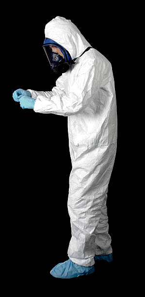 Best Water Damage & Mold Remediation  in Gaylord, MI