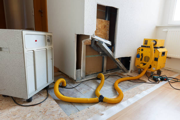 Best Comprehensive Air Testing for Mold Contaminants  in Gaylord, MI