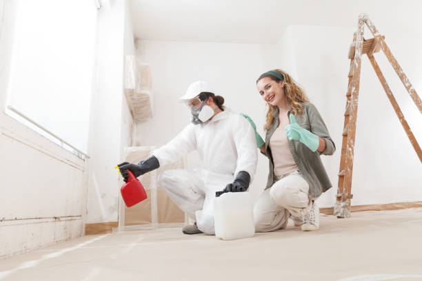 Best Indoor Air Quality Assessment  in Gaylord, MI